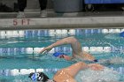 Swimming vs Bentley  Wheaton College Swimming & Diving vs Bentley College. - Photo by Keith Nordstrom : Wheaton, Swimming & Diving